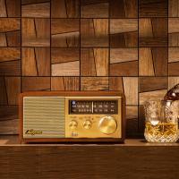 WR-11BT BLUES 布鲁斯 台式蓝牙音箱收音机 胡桃木